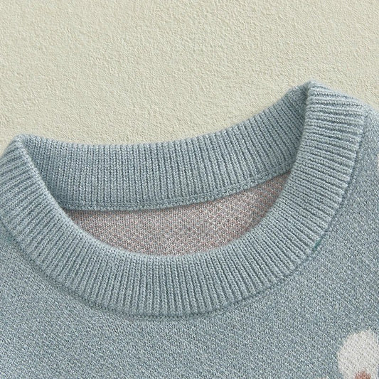 MISOWMNJOY Knitted Baby Girls Sweater Suits 2Pcs Spring Fall Newborn Outfits Short Sleeve Floral Tops + Shorts Toddler Clothes - Clothesfassion.store